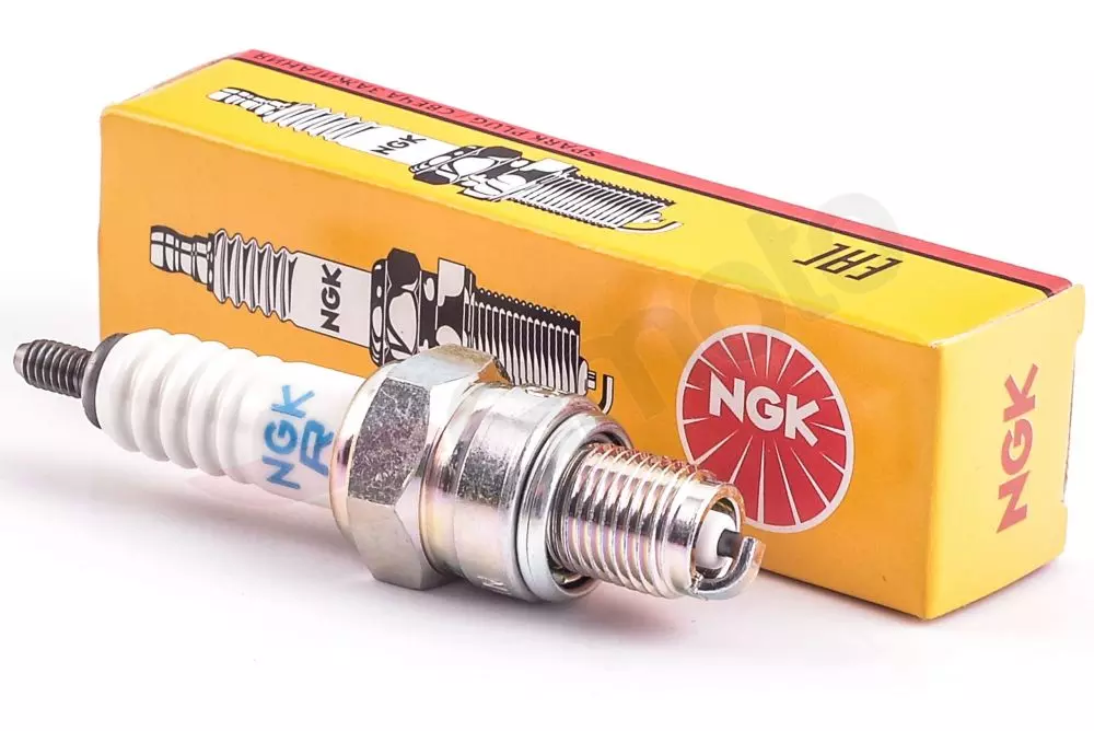 gmoto-1226416