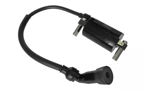 gmoto-1295952