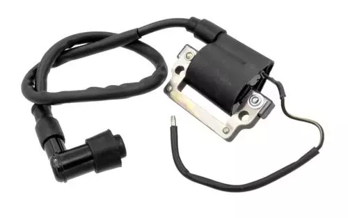 gmoto-1295983
