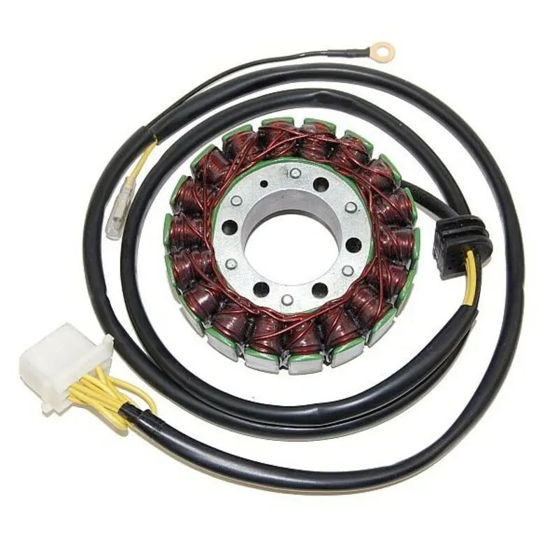 gmoto-1317310