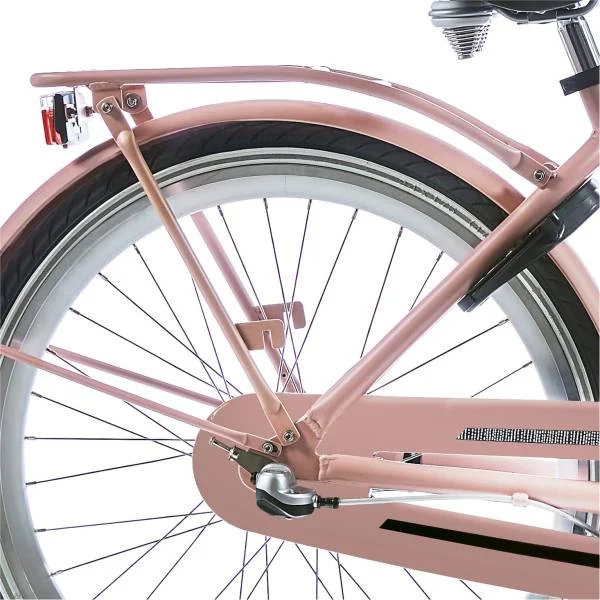 hollandbikeshop2-1306202
