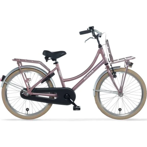hollandbikeshop2-1350566