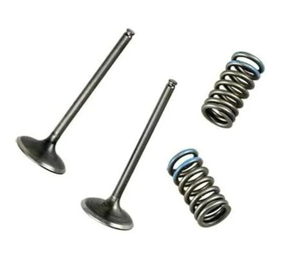 media.motoblouz4-203405