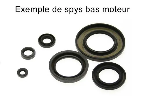 media.motoblouz5-651269